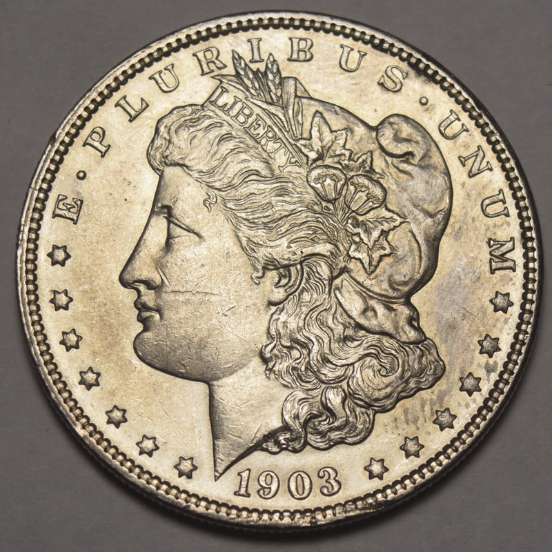 1903 Morgan Dollar . . . . Choice About Uncirculated